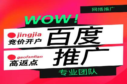 托管竞价sem案例分享：某电商平台的成功之路